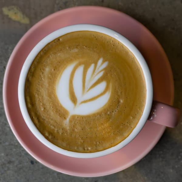 Overhead view of a latte with delicate leaf art in a pink cup and saucer.